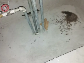 藤县卫生间测漏水价格明细